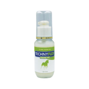 Natural Health Technyflex Equine Gel 100ml_