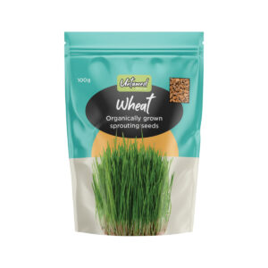 Untamed Health Sprouting Seeds Wheat 100g_