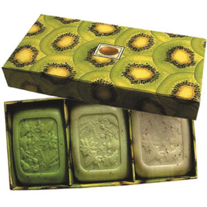 Clover Fields Gift Box Fresh Fruits Box Kiwi x 3 Pack_