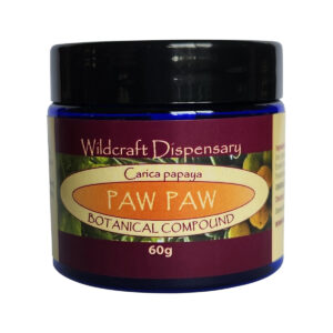 Wildcraft Dispensary Ointment Paw Paw 60g_