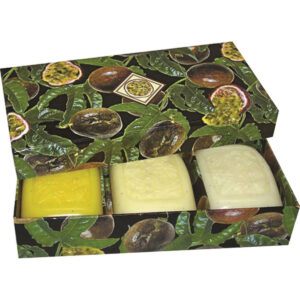 Clover Fields Gift Box Fresh Fruits Box Passionfruit x 3 Pack_